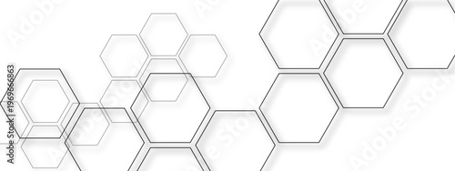 Vector Hexagon art shape geometric pattern and visual arrangement displays structure design, science feel abstract, shapes and forms