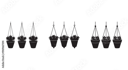 Set of hanging potted plants on white background  various planters and leafy greens  indoor gardening concept