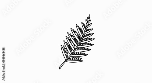 Stylized outline of a single fern frond
