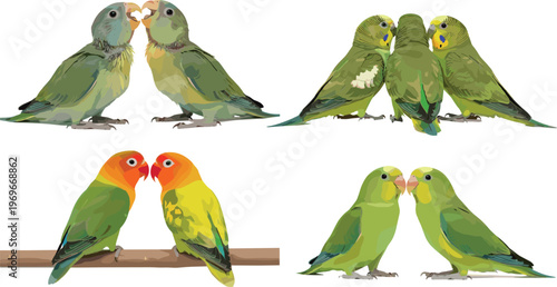 Illustration of Four Pairs of Colorful Love Birds in Different Poses and Interactions for Wildlife and Nature Designs