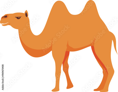 Illustration of a Camel