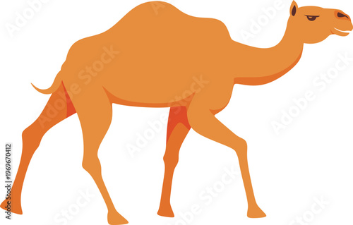 Illustration of a Camel