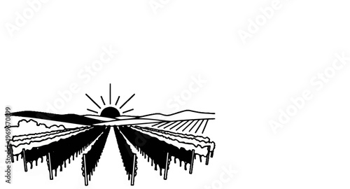 Sunrise over rolling hills and a vineyard