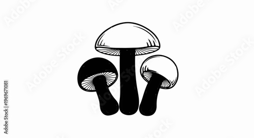 Three black and white mushrooms, one tall and two shorter, with gills