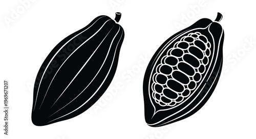 Two cocoa pods one whole and one cut open on transparent background silhouette