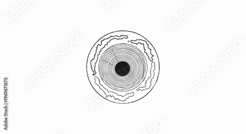 Top view of a tree trunk cross-section showing growth rings and bark texture