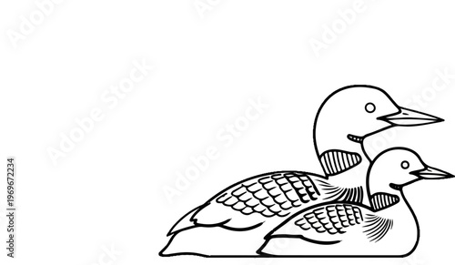 Two birds with striped necks sit together on a white background