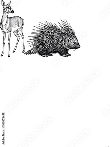 Vintage Sketch Illustration of a Deer and Porcupine, Perfect for Wildlife, Nature, and Animal Themed Designs