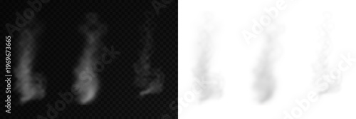Tableau sur toile Set of realistic white and gray smoke or steam