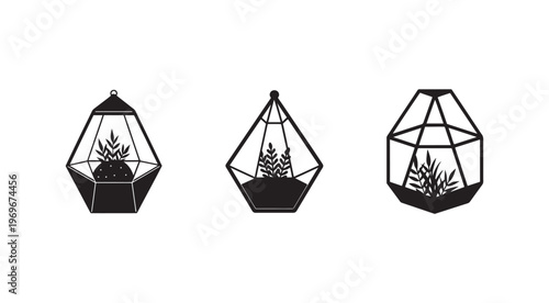 Three black and white illustrations of glass terrariums with plants inside  geometric shapes  isolated on white background