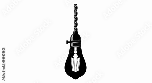 Vintage Edison bulb suspended by a twisted wire cord