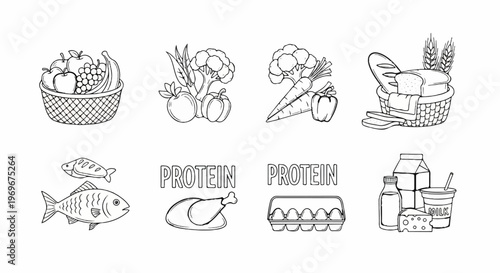 Whimsical line art illustrations of food groups for healthy eating