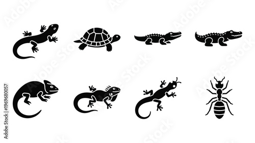 A collection of reptile and insect silhouettes including lizards turtles crocodiles and a scorpion silhouette high quality professional detailed modern elegant