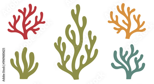Colorful underwater coral and seaweed plants set isolated on white.