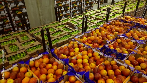 Fruit and vegetable warehouse Drone