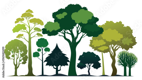 Different types of trees with various shapes and sizes standing together in a row