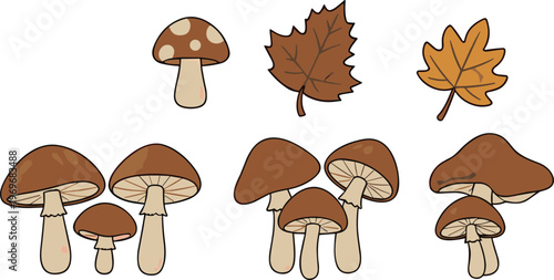 Autumn mushrooms and leaves collection with forest nature elements, fall season cartoon vector illustration set isolated on white