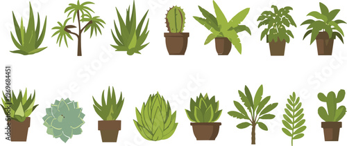 Collection of indoor houseplants and potted tropical plants isolated on white background, botanical greenery vector illustration set