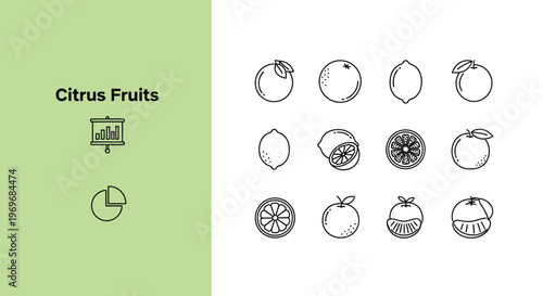 A collection of simple outline vector illustrations depicting various citrus fruits such as lemons, limes, and whole and sliced oranges.