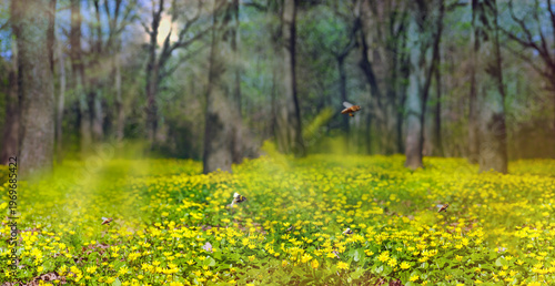 Nature background with spring forest. Yellow flowers blossoms with flying bees in spring forest in sunlight