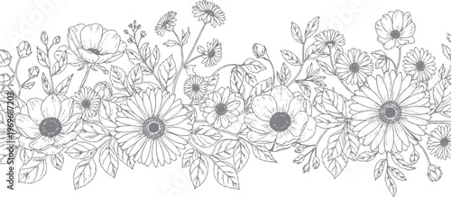 Horizontal border of hand-drawn wildflowers and leaves in sketch style with flower border with line art with black and white with botanical illustration with floral design with nature illustration