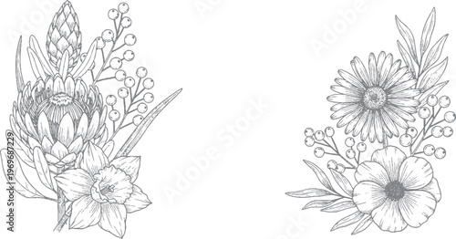 Sketch illustration of two floral arrangements with exotic and common flowers with floral arrangement with line art with hand drawn with black and white with exotic flower with nature illustration