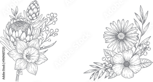 Duo of hand-drawn floral arrangements with protea, narcissus, and daisies in grayscale sketch style, botanical illustration, white background, flower cluster, floral design, line art, design element