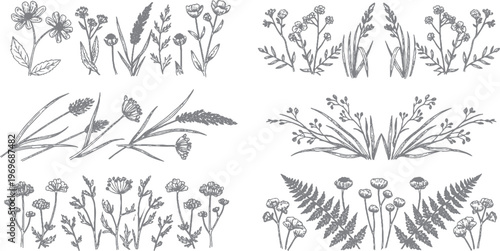 Collection of wildflower and grass botanical design elements line art with design element with black and white with hand drawn