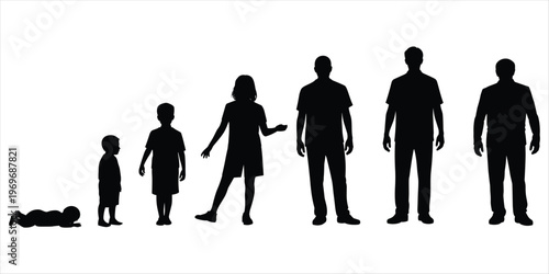 Silhouettes illustrating human growth from infancy to adulthood on a white background Keywords: silhouette, human, growth, life
