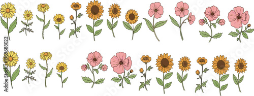 Hand drawn wildflowers and sunflowers collection with botanical garden flowers, floral nature cartoon vector illustration set