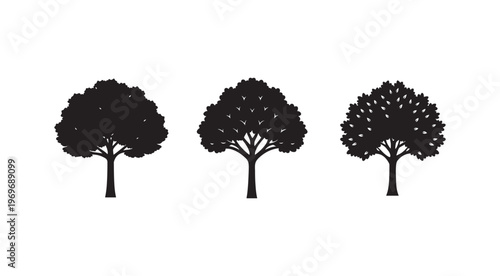 Three black silhouettes of trees with different leaf shapes on white background  tree silhouettes  black trees