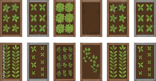 Top view garden bed collection with growing plants stages, seedlings leaves patterns, organic farming agriculture concept flat vector illustration