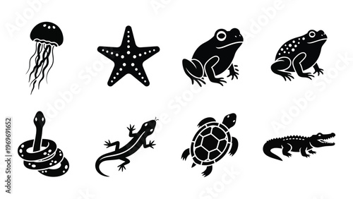 A collection of black animal silhouettes includes a jellyfish starfish frogs snake lizard turtle and crocodile silhouette high quality professional detailed