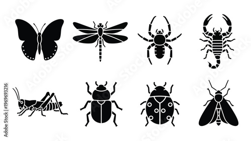 A collection of black insect silhouettes including butterflies dragonflies spiders and beetles all arranged on a white background silhouette high quality