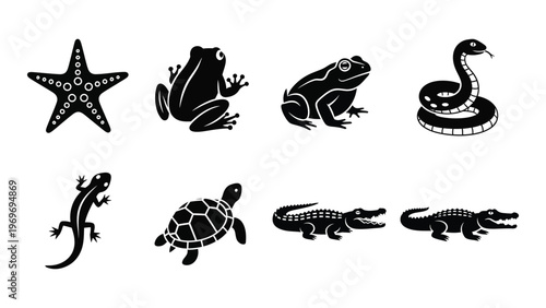 A collection of black silhouettes depicting a starfish frogs a snake lizard turtle and crocodiles silhouette high quality professional detailed modern