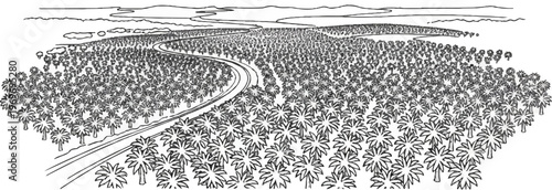 Winding road through dense palm trees with distant mountains