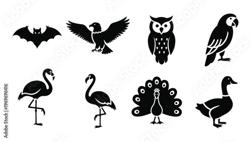A collection of diverse bird silhouettes including an owl flamingo peacock and bat presented in a striking black design silhouette