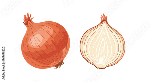 Whole red onion next to a half-cut onion showing the internal layers illustrated in a clean hand-drawn style on white background.
