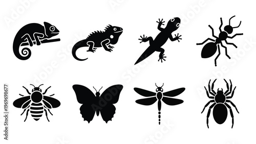 A collection of various insect and reptile silhouettes depicting a diverse range of arthropods and reptiles silhouette high quality professional detailed