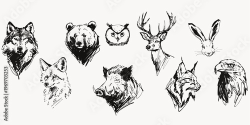 Hand Drawn Forest Animal Head Vector Illustrations Set Featuring Wolf Bear Deer Fox Owl and Eagle Ink Sketch Designs for Rustic Branding Logo and T-Shirt Print