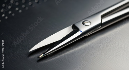 Sharp Metal Scissors with Gleaming Blades and Precision Point