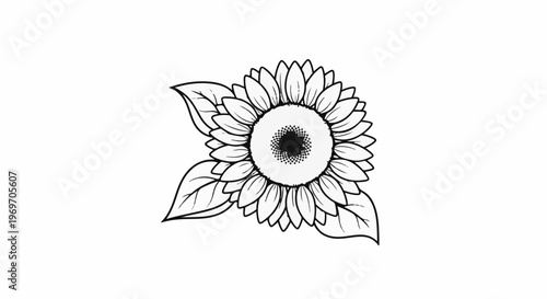 Black and white illustration of a sunflower with three leaves