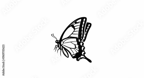 Black and white illustration of a swallowtail butterfly in flight