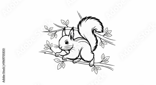 Black and white line art drawing of a squirrel on a tree branch