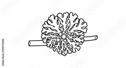 Black and white line art of a detailed, circular organic shape with protruding stems