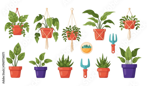 Colorful house plant and garden pot collection with replanting elements for interior decor and botanical design