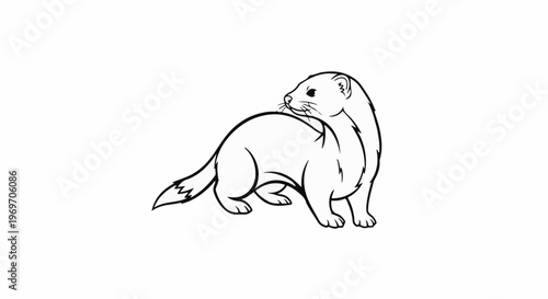 Black and white line drawing of a small, furry mammal looking back