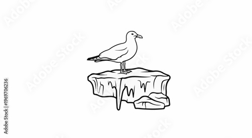 Black and white outline drawing of a seagull perched on an icy, jagged rock