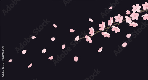 Delicate pink cherry blossoms drift on a dark, moody background