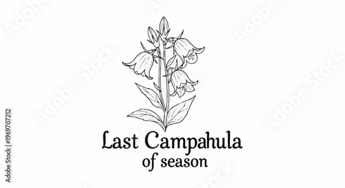 Delicate sketch of bellflowers on a stem with decorative script text